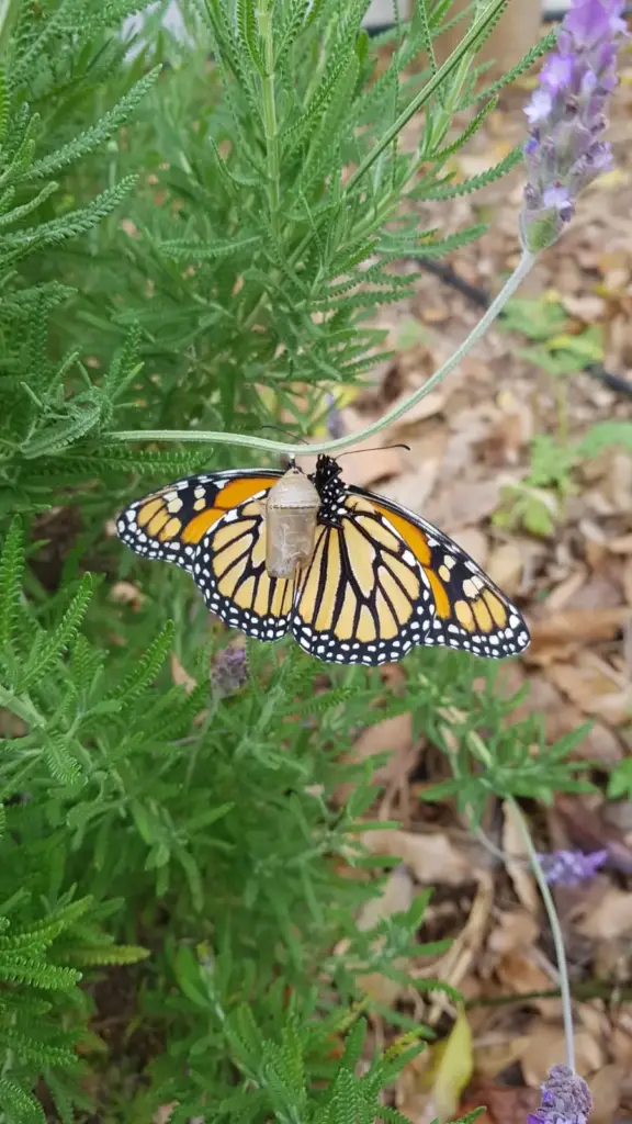 4. Über mich Therapie ist eine Reise