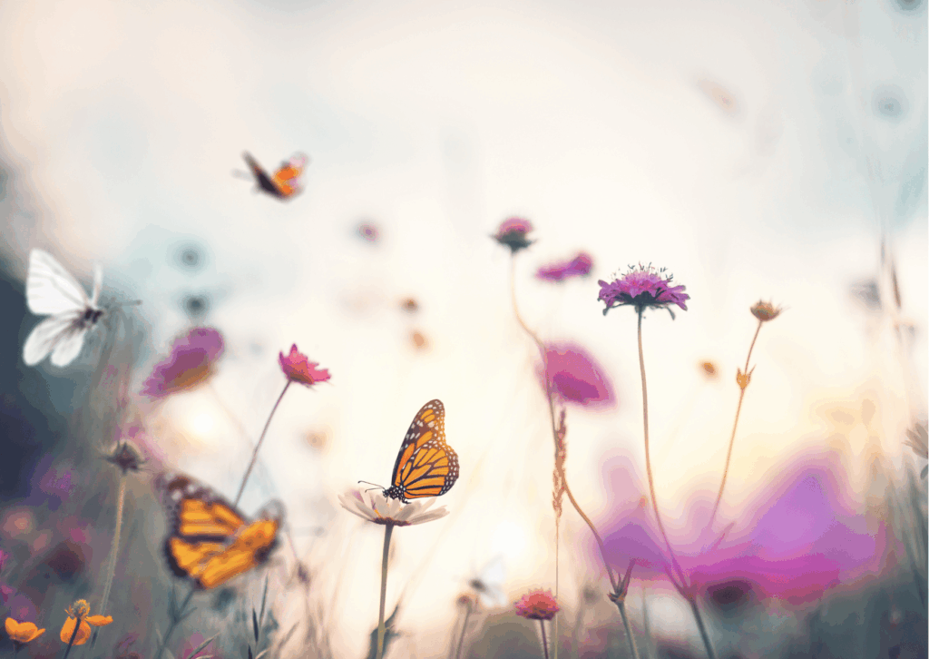 get in touch Workshop